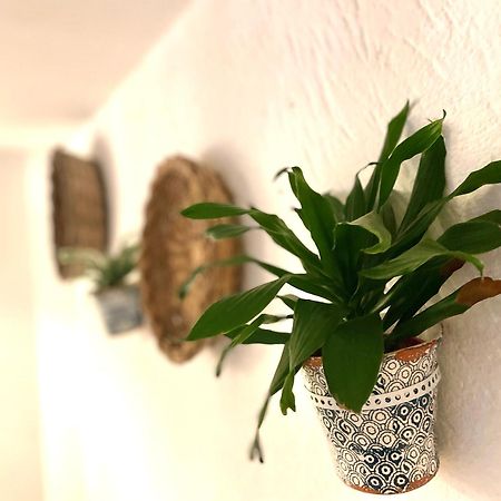 Casa Mia Βίλα Mola di Bari Εξωτερικό φωτογραφία